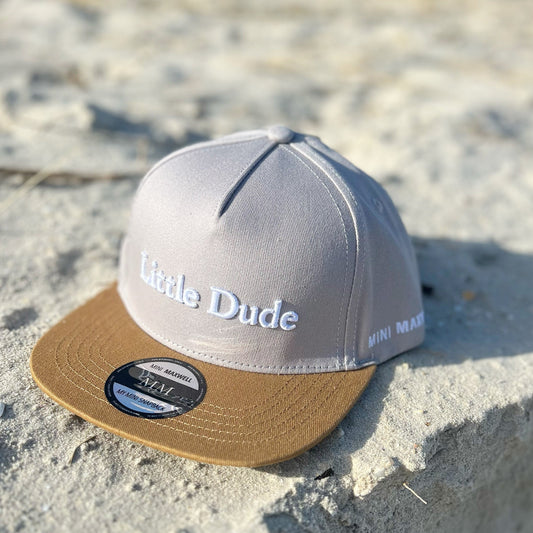 Grey Little Dude Snapback